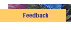 Feedback