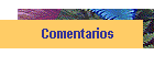 Comentarios