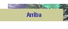 Arriba